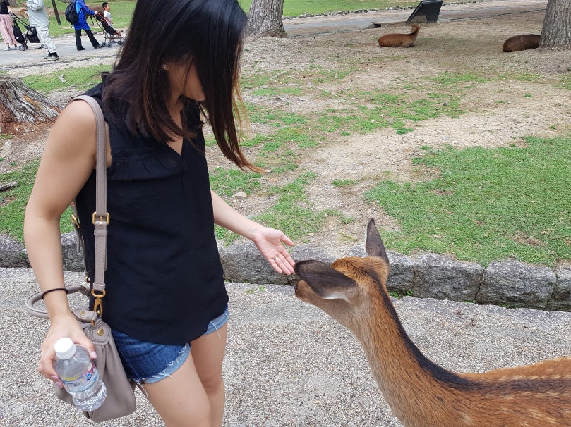 Nara Deer Park.jpg